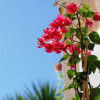 Atlantikoa B&B Bed and Breakfast - guest house Biarritz Bayonne Basque Country golf Bassussarry(24)