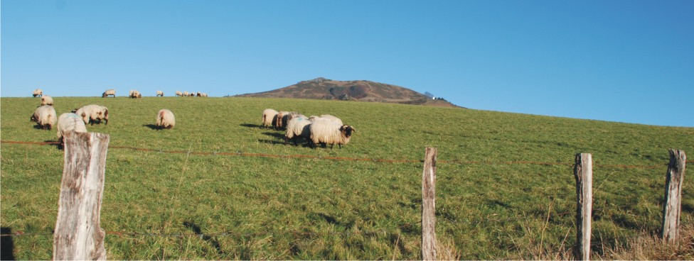 #htmlcaption-84 Ride in the hinterland of the Basque Country near the village of Ainhoa