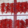Atlantikoa B&B - Piment Espelette