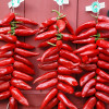 Espelette Fête du Piment (2)