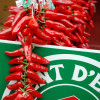 Espelette Fête du Piment (33)
