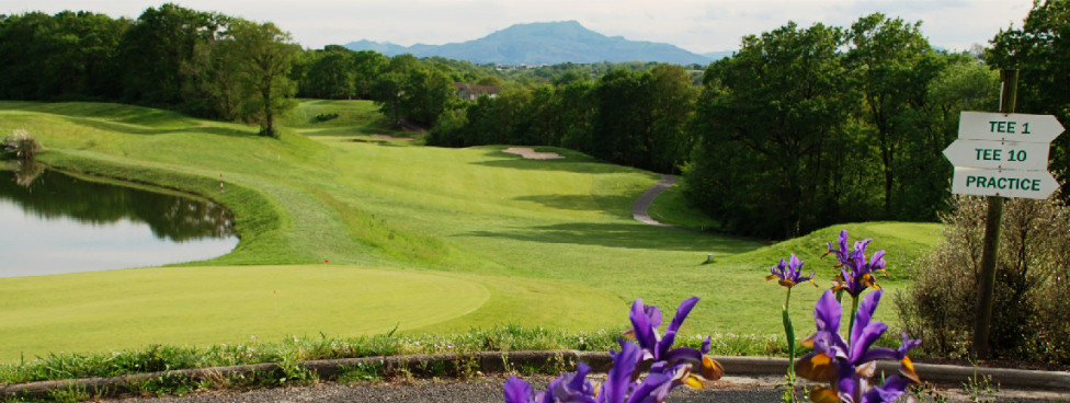 Sur le domaine du Golf du Makila à Bassussarry