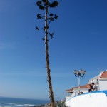 Ericeira