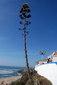 Ericeira