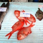 marché cascais poisson