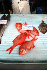 marché cascais poisson