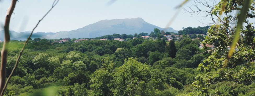 #htmlcaption-582 Depuis le jardin, vue sur les collines d’Arcangues et sur la montagne de la Rhune, connue pour son petit train à cremaillère